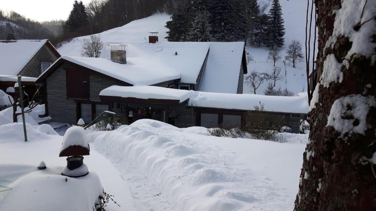 Haus Wiesenblick Walkenried Exterior photo