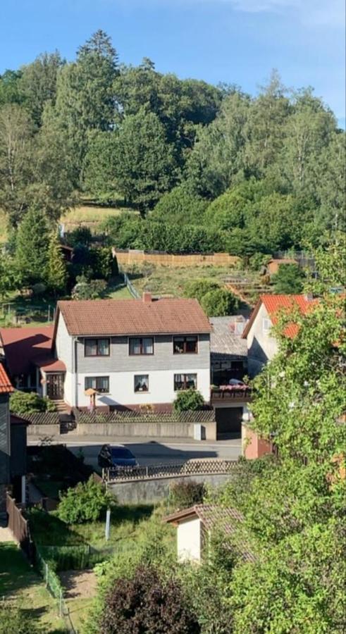 Haus Wiesenblick Walkenried Exterior photo